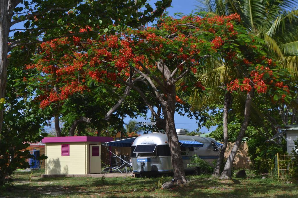 Airstream Paradise Bernard Exterior photo